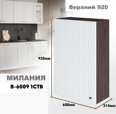 milaniia_v_6009 1stv_3